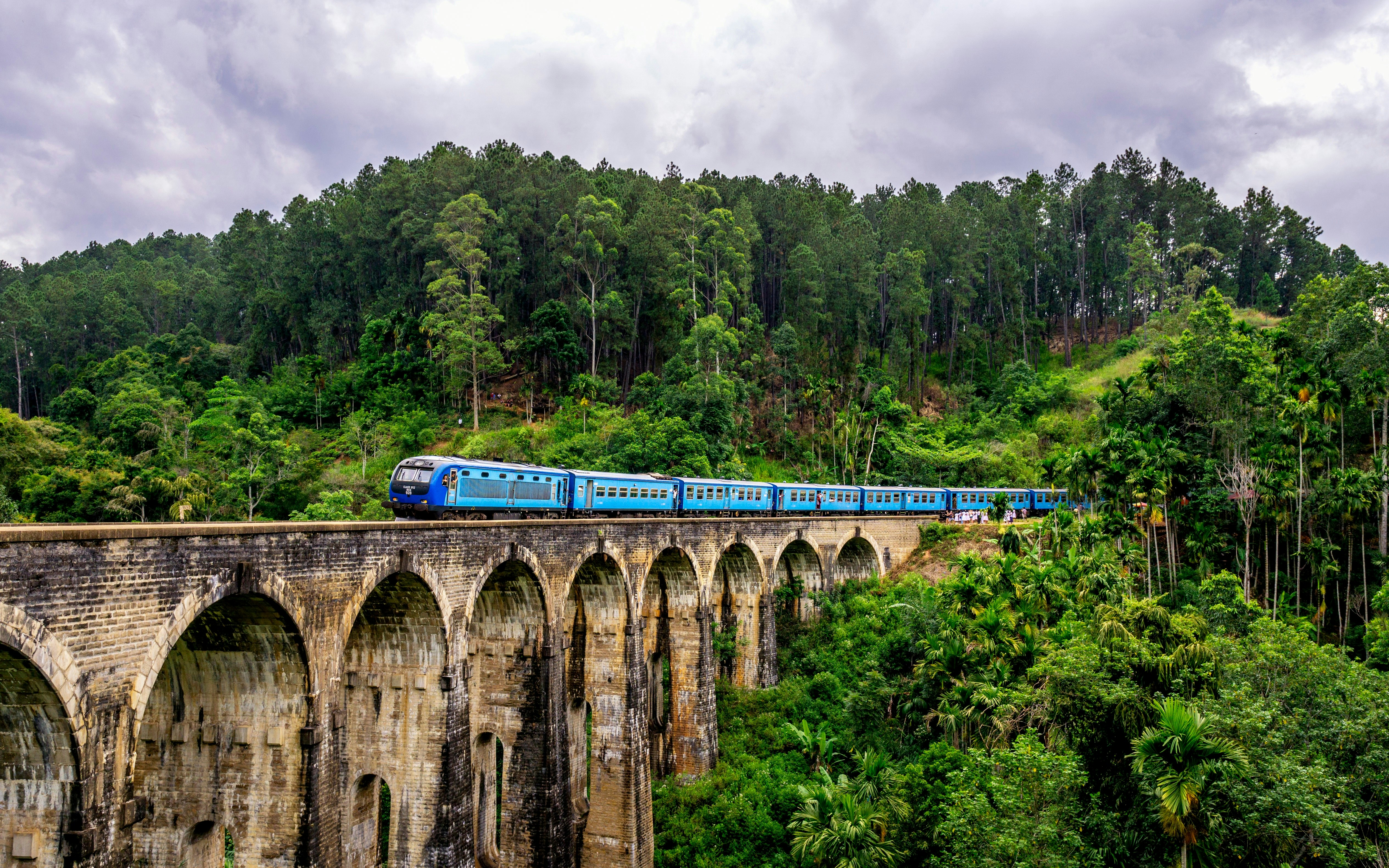 Scenic Tea Country & Hill Country